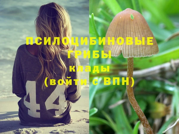 PSILOCYBIN Белокуриха